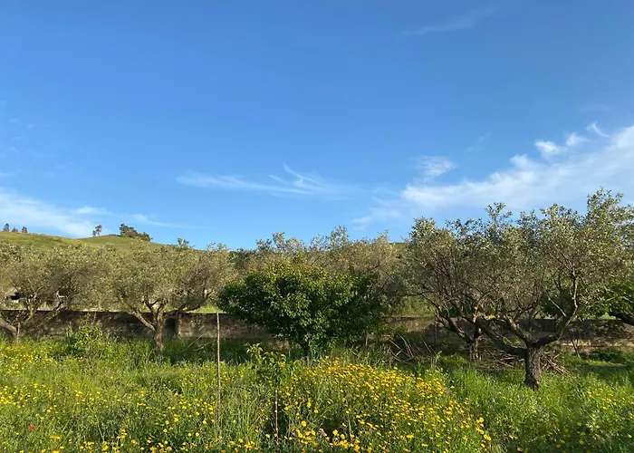 La Casa Tra Gli Ulivi - EcoHouse